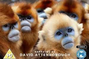 七个世界,一个星球4K蓝光173G下载One Planet: Seven Worlds