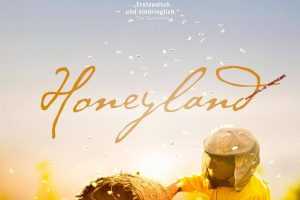 蜂蜜之地/大地蜜语(台)/流蜜大地之诗(港)1080p蓝光版6.6G下载Honeyland