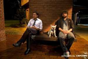 美剧《预产期/临盆待产/Due Date》1080P高清蓝光种子网盘下载