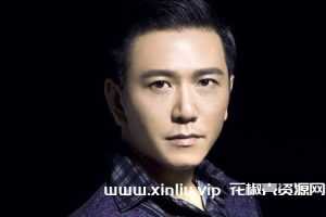 温兆伦19张专辑合集无损整轨歌曲[FLAC/APE/WAV/6.97GB]百度云网盘下载