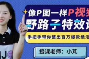 小芃《野路子视频特效课》像P图一样P视频 MP4百度云网盘下载