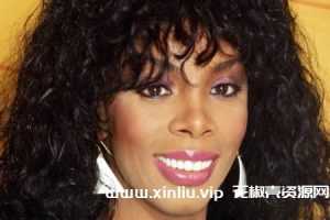 唐娜·莎曼/Donna Summer音乐歌曲33张CD无损整轨合集[FLAC/13.18GB]百度云网盘下载