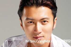 谢霆锋电影合集24部-百度云网盘下载