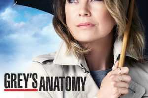 美剧《实习医生格蕾/Grey’s Anatomy》1-18季超高清1080P电影视频合集[MP4/MKV/1.5T]网盘下载
