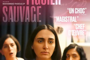 法国剧《神圣无花果之种/菩提之种》高清电影视频下载