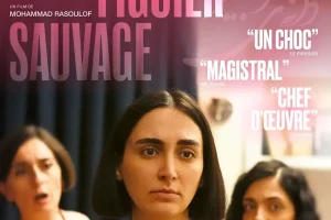 法剧《神圣无花果之种/菩提之种》高清电影视频下载